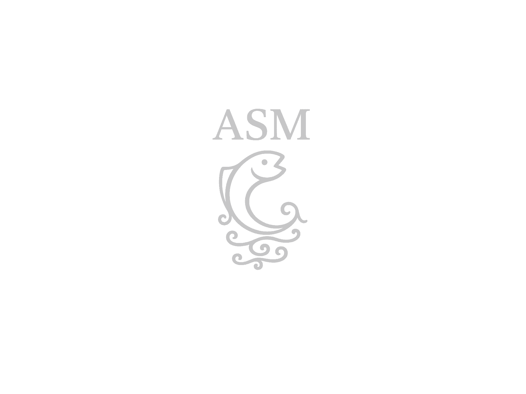 logo opaco asm