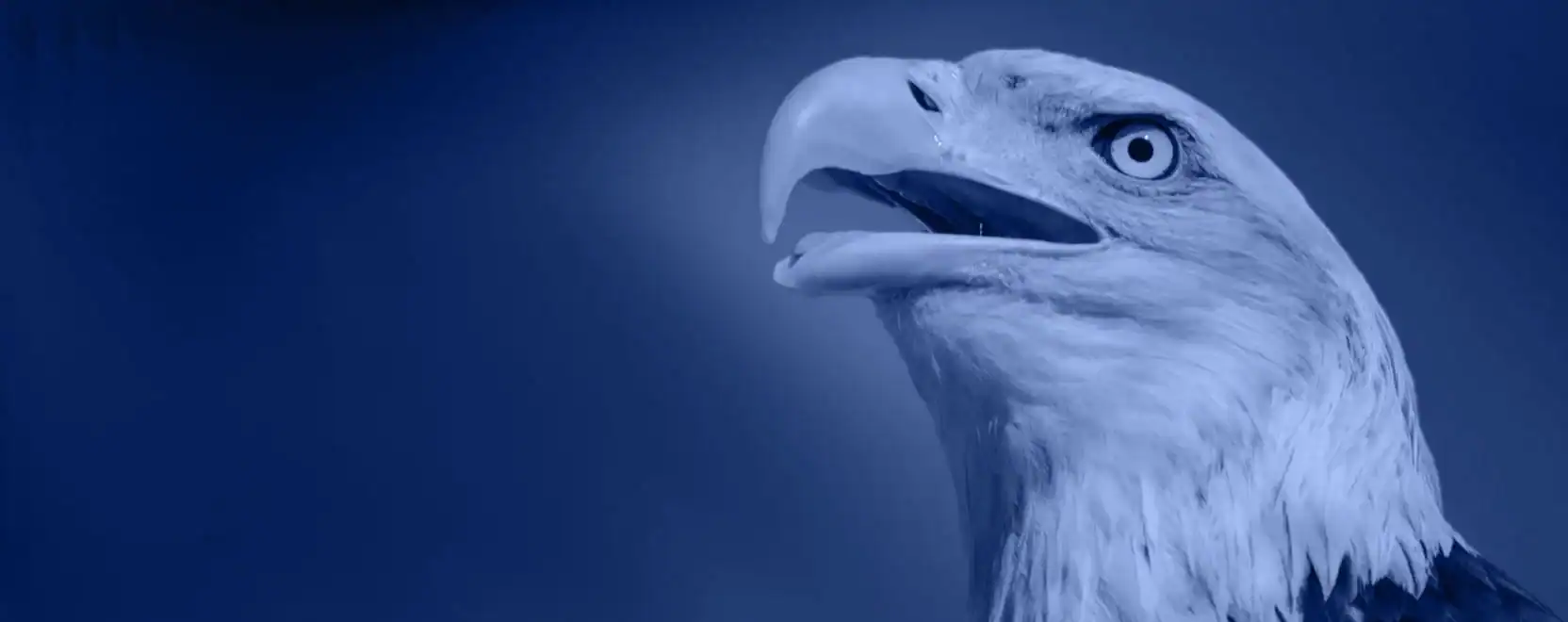 Our Network of Attorneys Protects Our Natural Resources