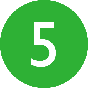 Icon Circle 5