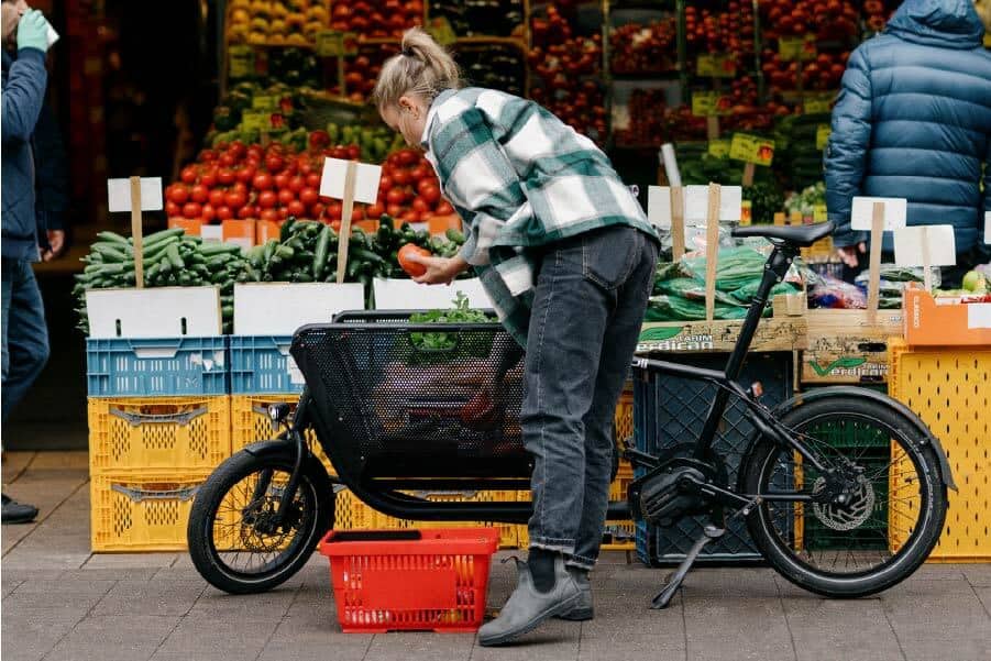 Muli Motor – Bild 2