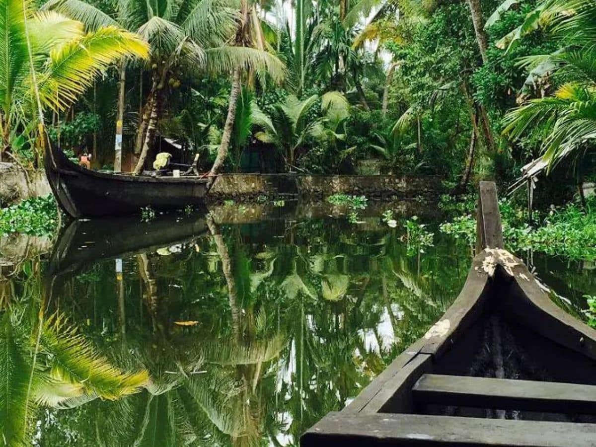Wodden Canoes in Kerala backwaters Wooden canoes in the river surrounded by green jungle in Kerala backwaters
