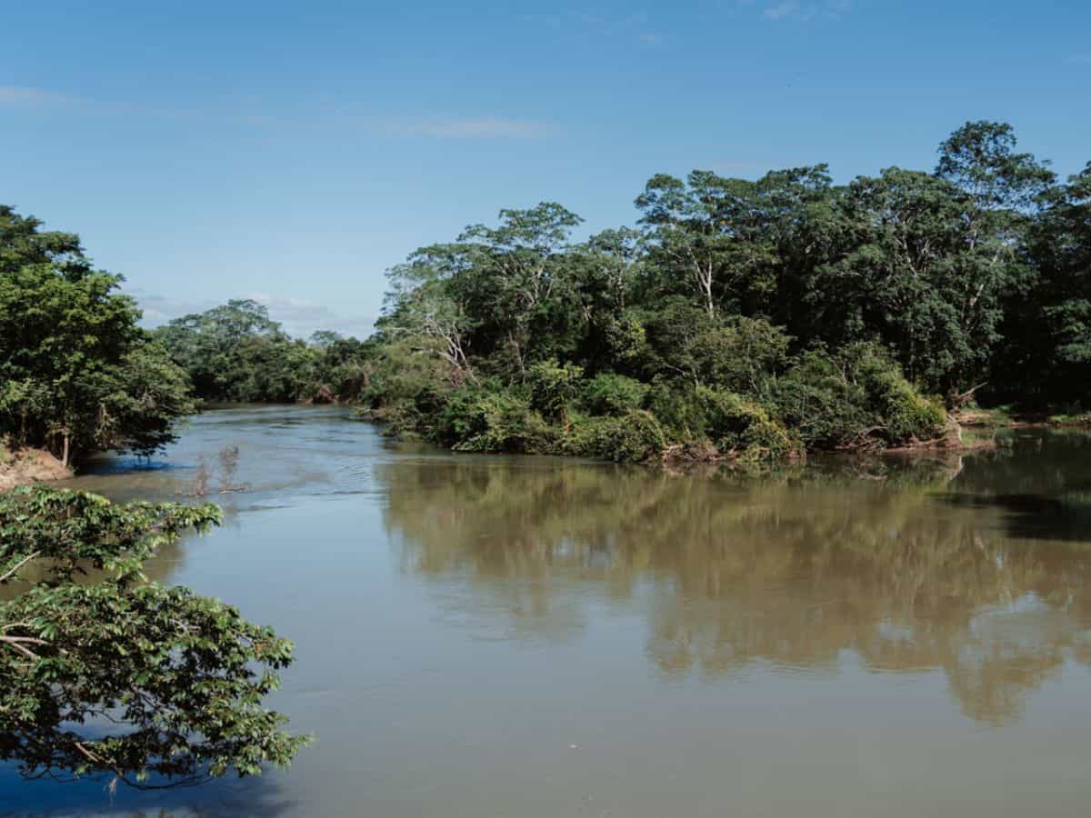 Macal River through San Ignacio in Belize. Macal River in San Ignaciao Belize. Banks lined with green jungle
