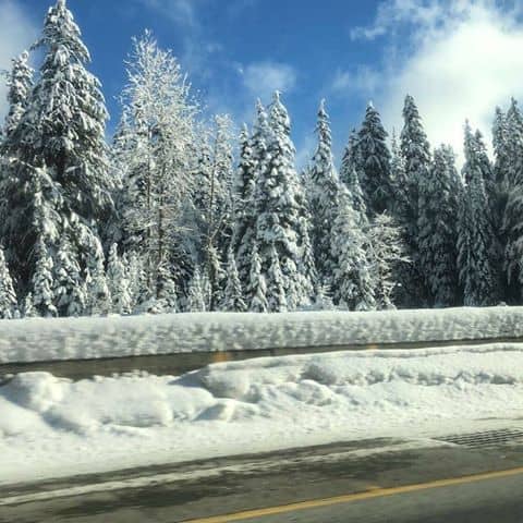 25592081_10215186109747592_3761022848724696001_n