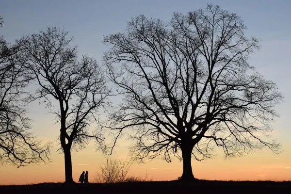 11 Hard Truths About Personal Growth You’ll Want to Remember