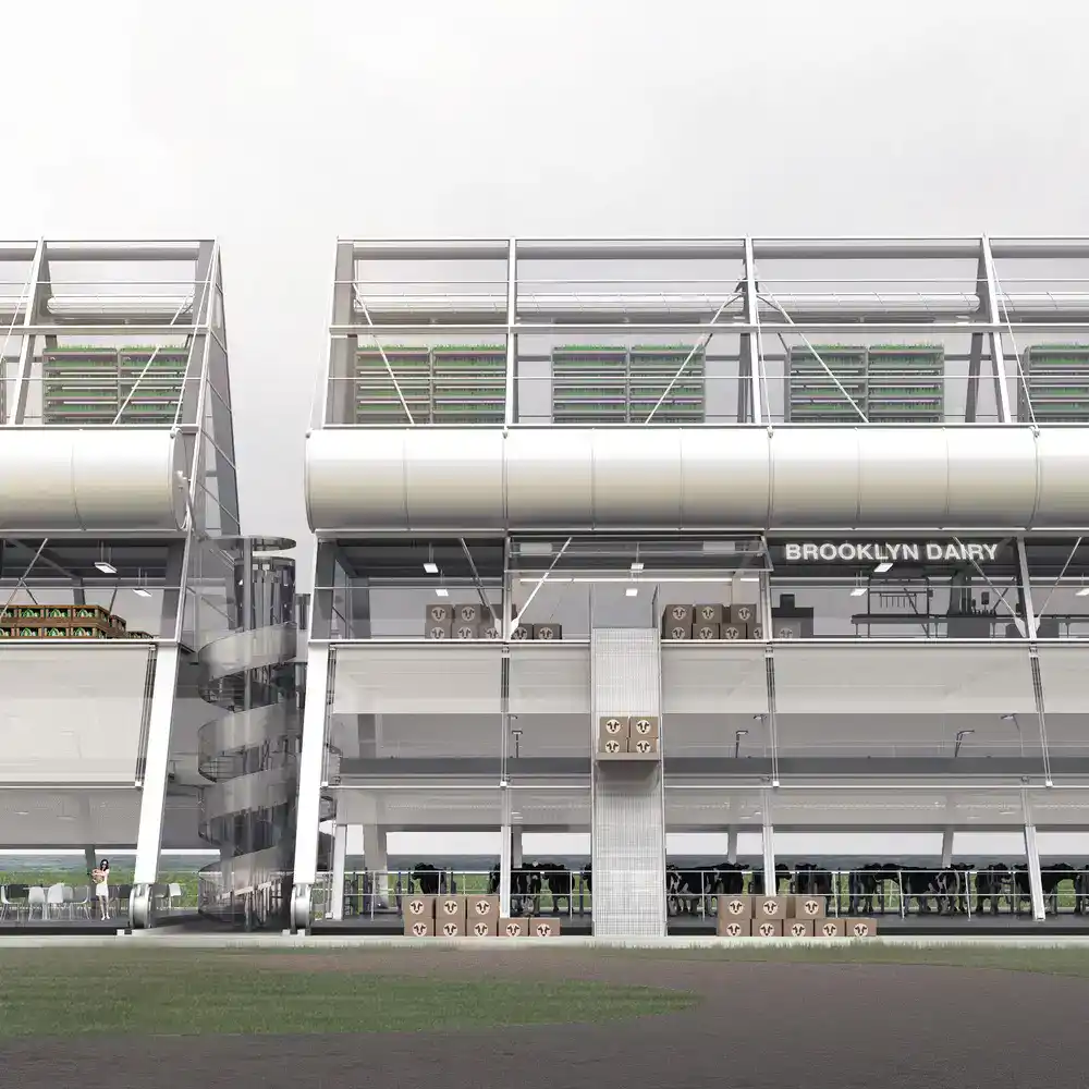 Brooklyn Dairy Project New York City USA