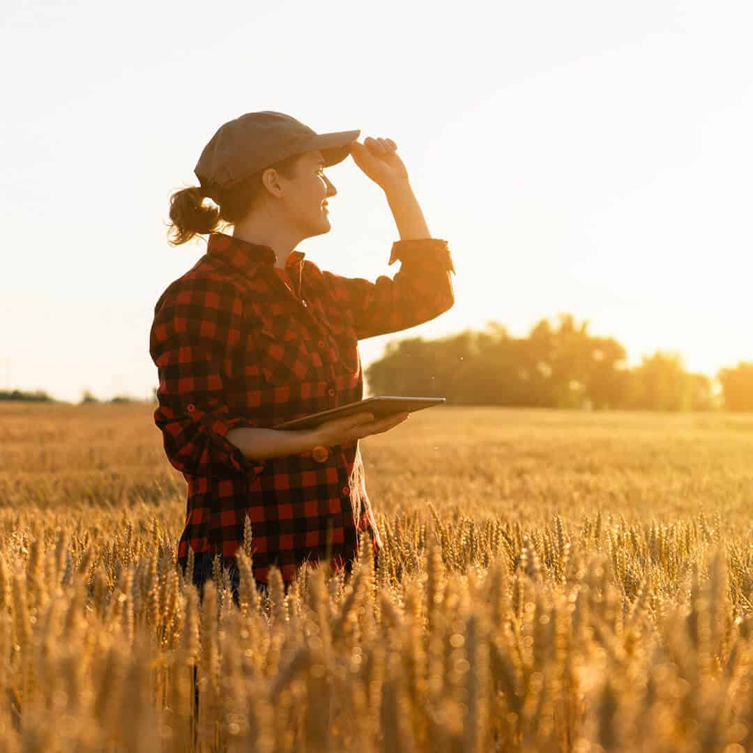 Digital Solutions - FLOGMA