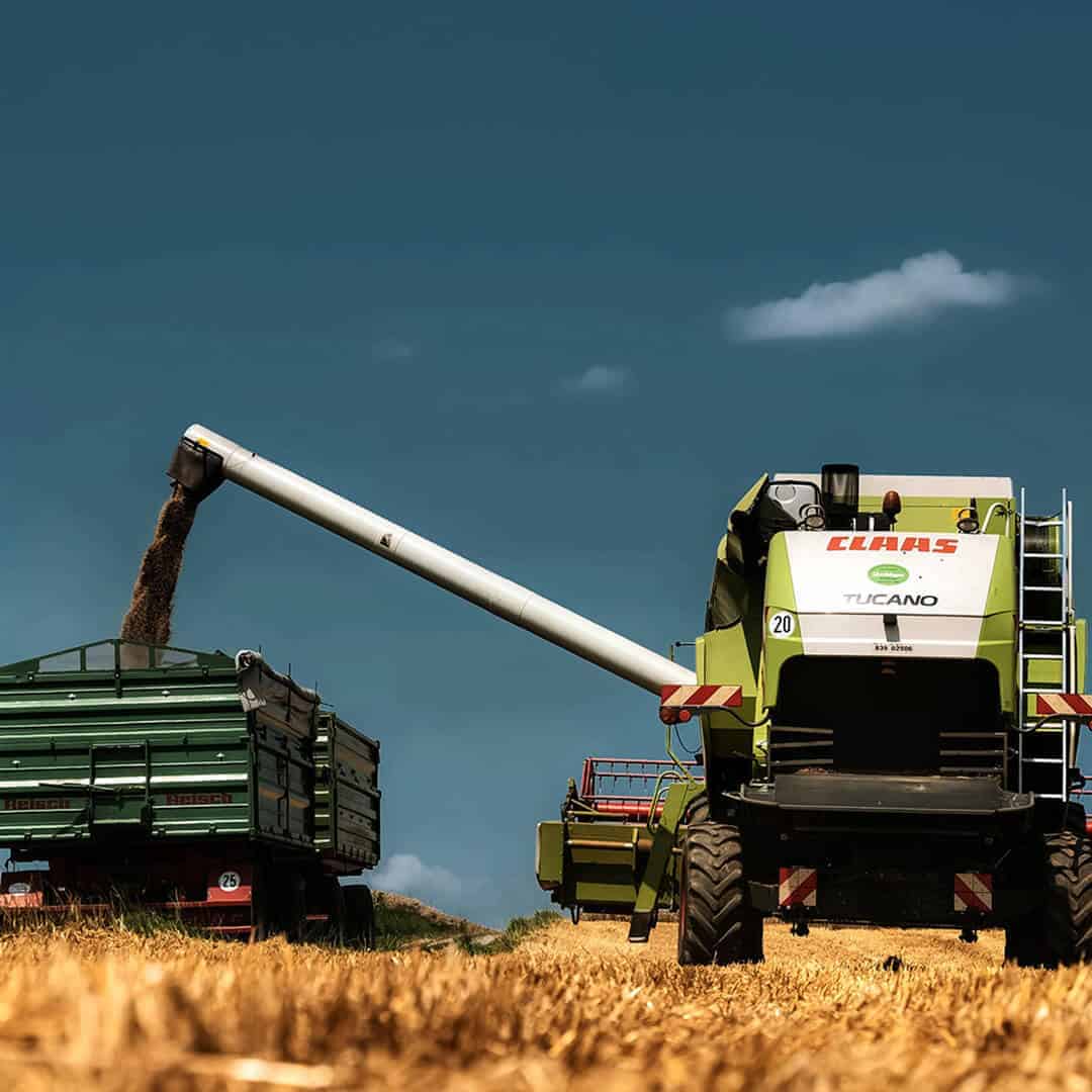 Operations & Cultivation Management - FLOGMA