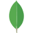 MongoDB – a popular open-source NoSQL database designed for high performance, scalability, and flexibility with JSON-like document storage.