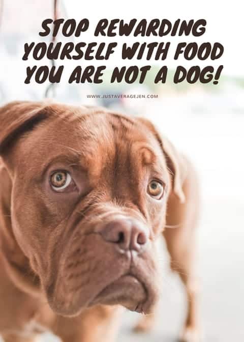 Pinterest pin of a brown dog looking at the camera