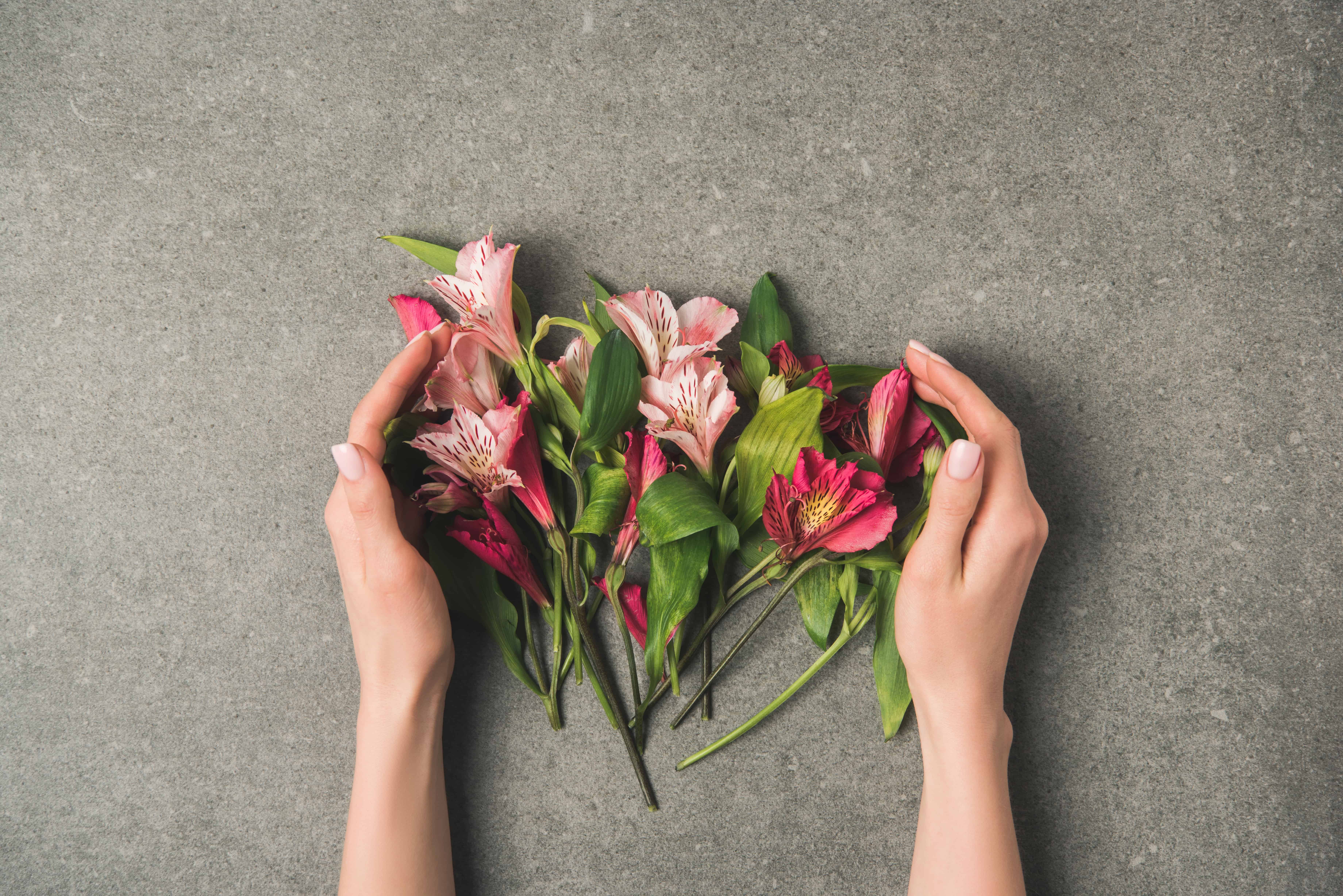 hands holding fresh flowers