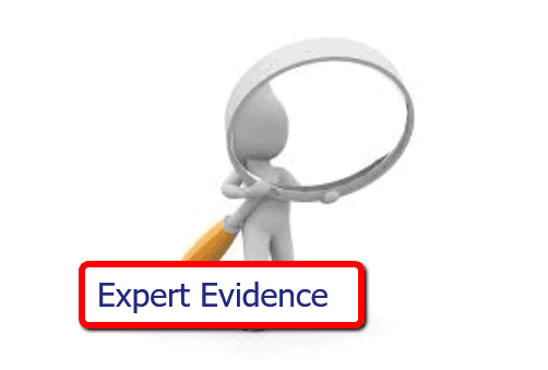 How Early Expert Witness Involvement Shapes Case Outcomes
