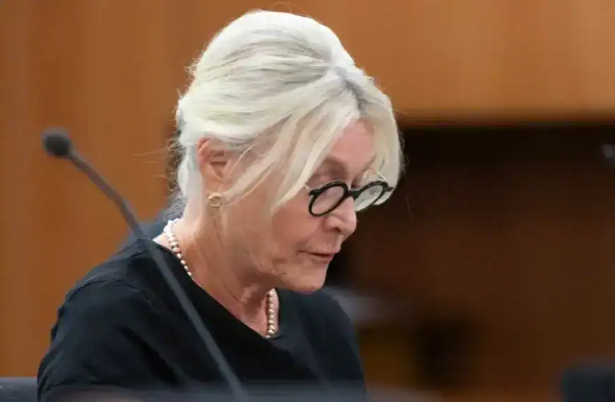 Judge Aitken Northern Club Hearing: NZ First Accounts Branded ‘Rubbish’ as Video Evidence Emerges