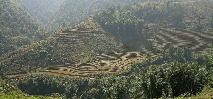 Cat Cat village: ethnic hill tribes in Sapa To the ethnic hill tribes in Sapa