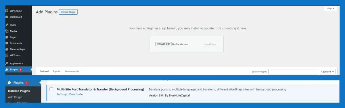 View full gallery photo