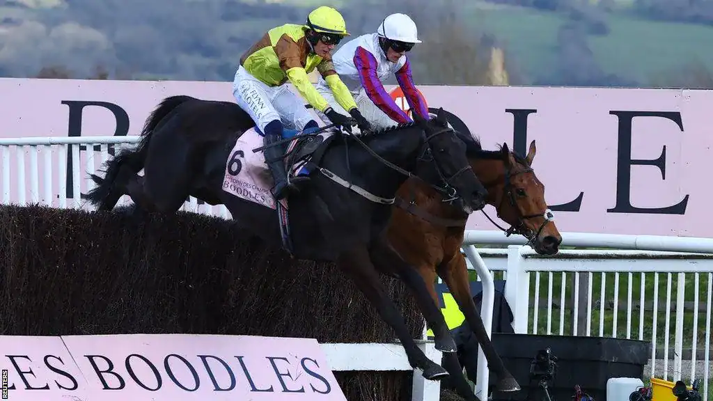 cheltenham racing