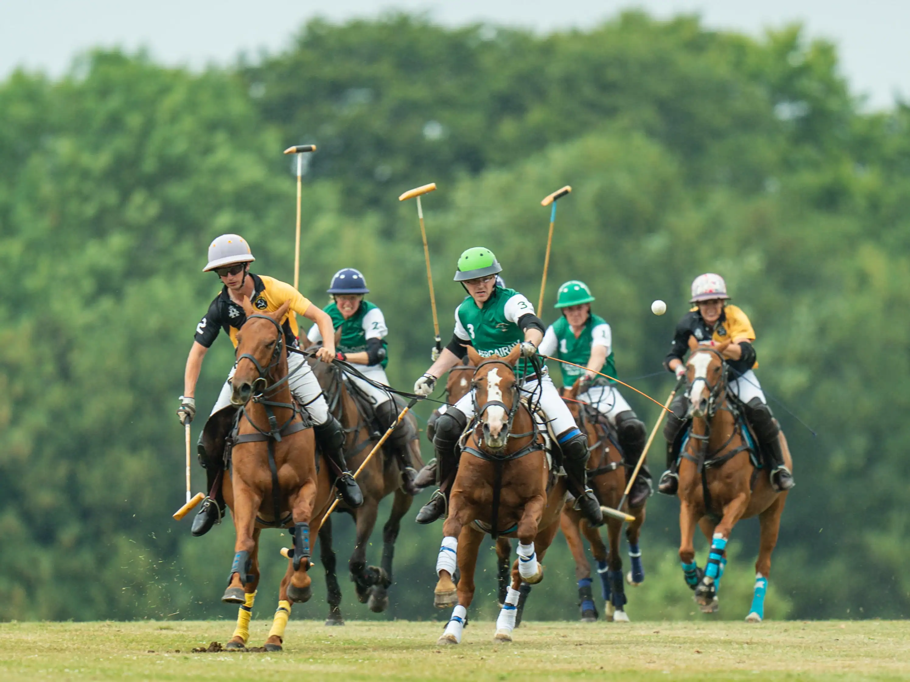 polo action from stonehenge Polo Festival