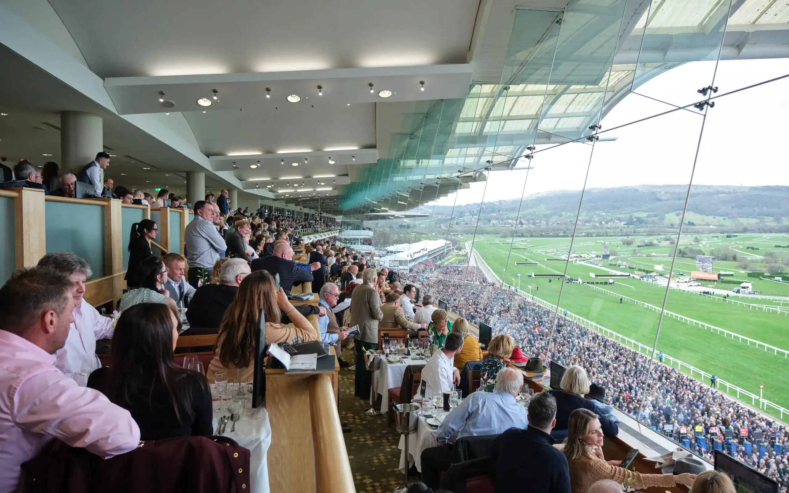cheltenham racing