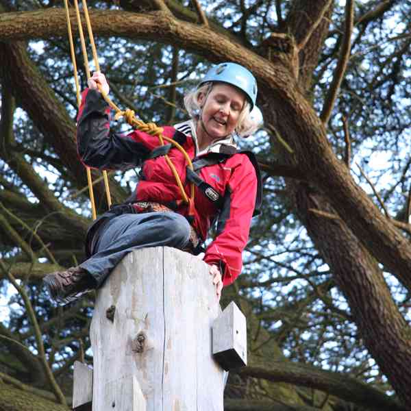 tree top team building 
