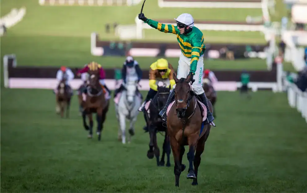 cheltenham racing