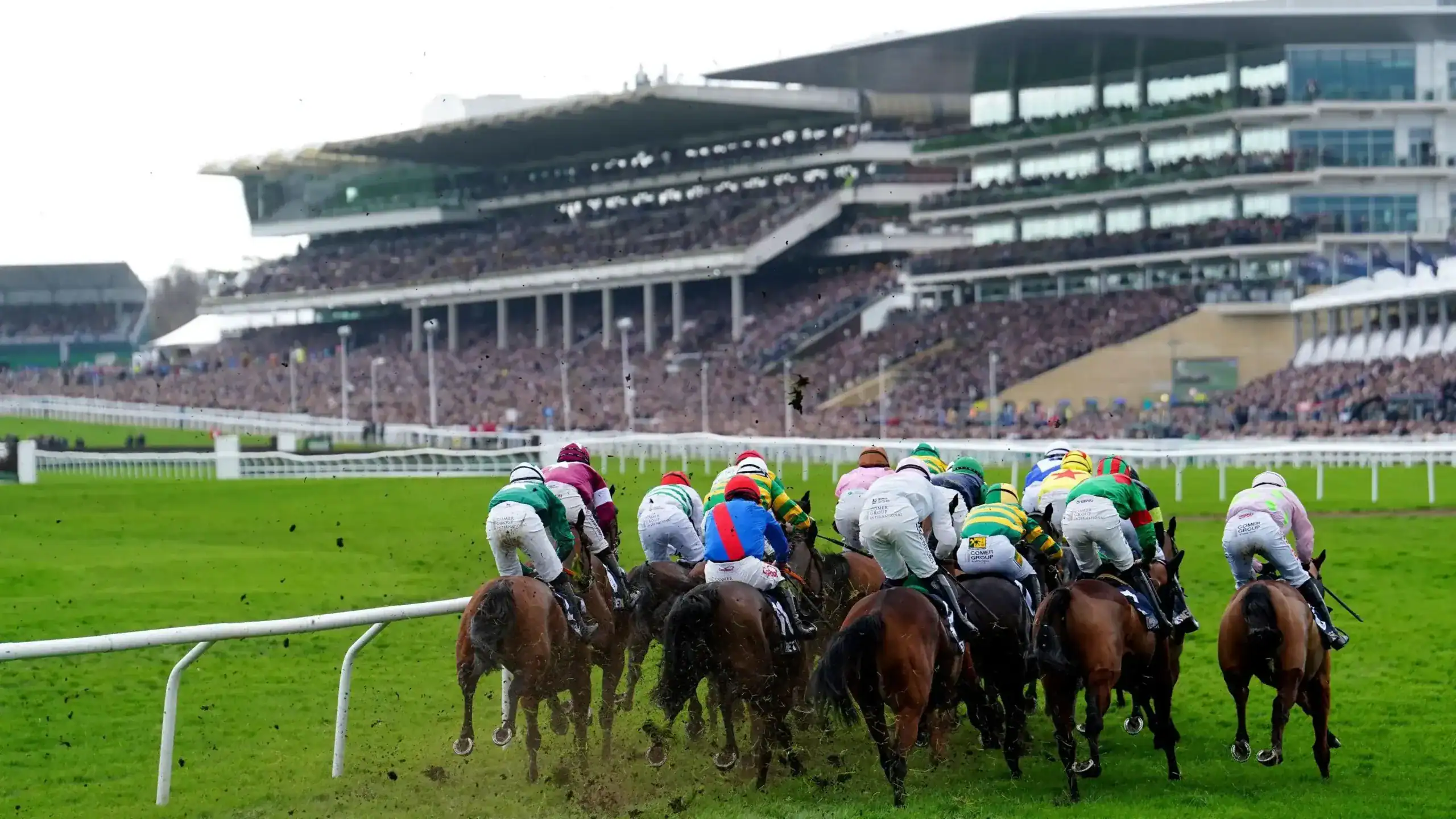 cheltenham racing