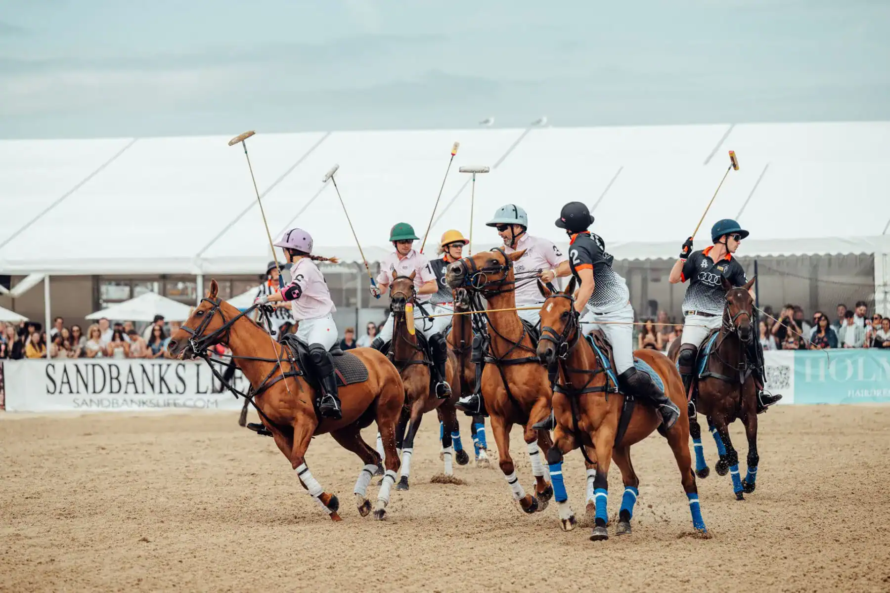 sand polo matches
