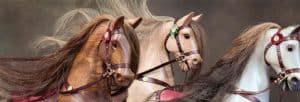 Rocking Horses