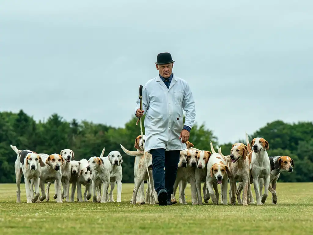 Hound Parade at the stonehenge polo festival