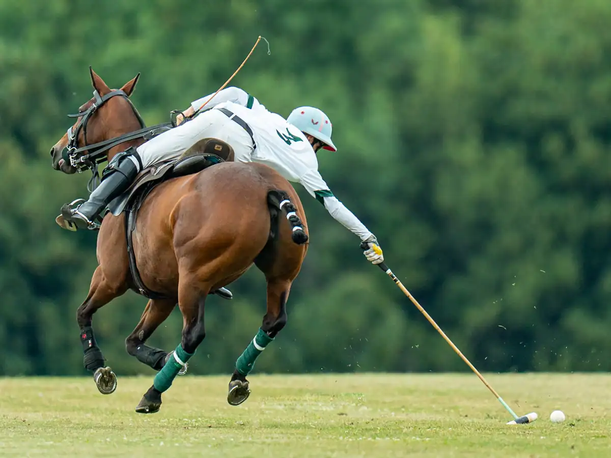 Wilf Bate reaching for the ball at the Stonehenge Polo Festival