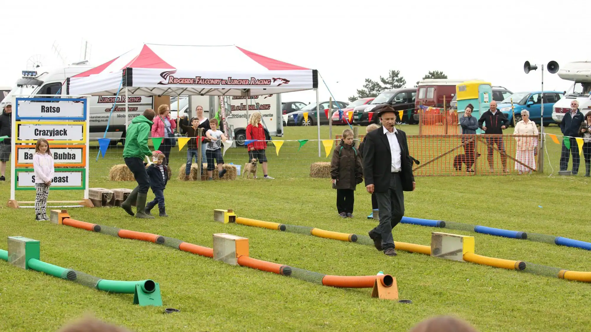ferret racing