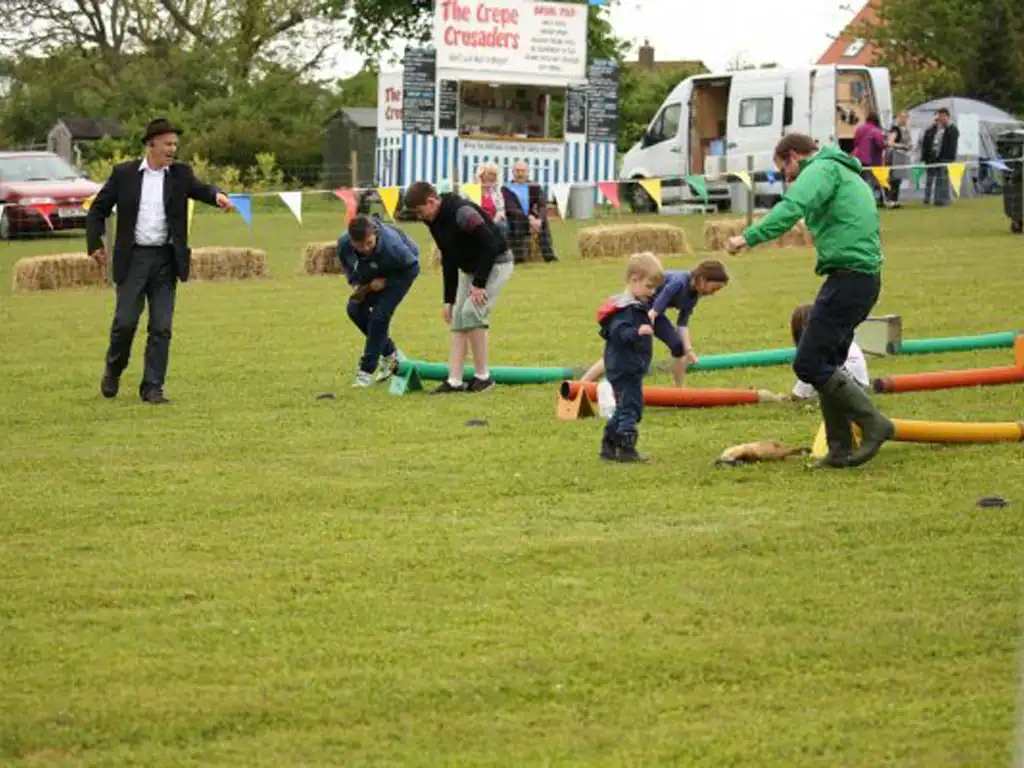 ferret racing event&nbsp;