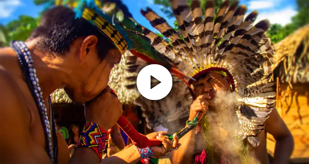 Shaman-Hape-presents