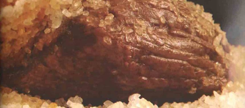 Picanha ao Forno com Sal Grosso