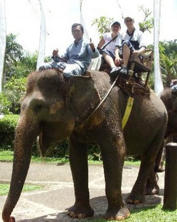 Bali Elephant Ride