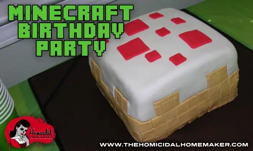 minecraft birthday party