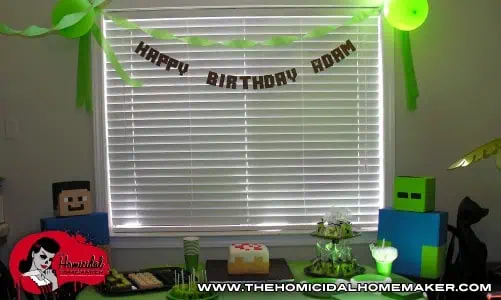 minecraft birthday party