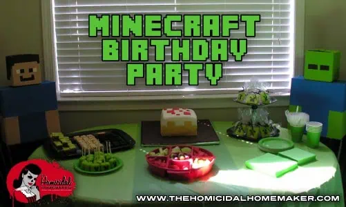 minecraft birthday party