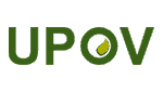 植物新品種保護国際同盟(UPOV) vol.11 商標_動画(embedded)