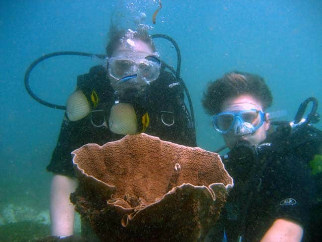 bali scuba