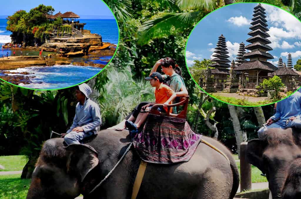 bali-lephant-rides-and-tanah-lot-tour