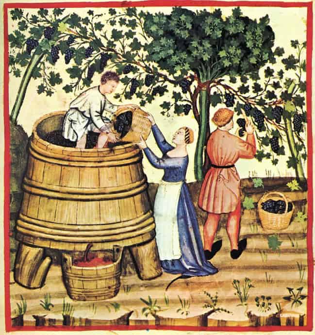 ancient_wine.jpg
