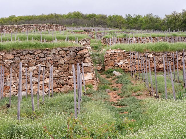 barta_kiraly_dulo-11.jpg