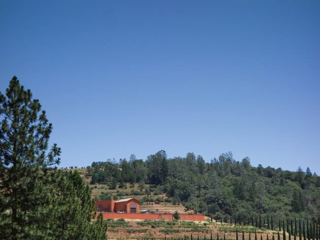 renaissance_vineyards-15.jpg