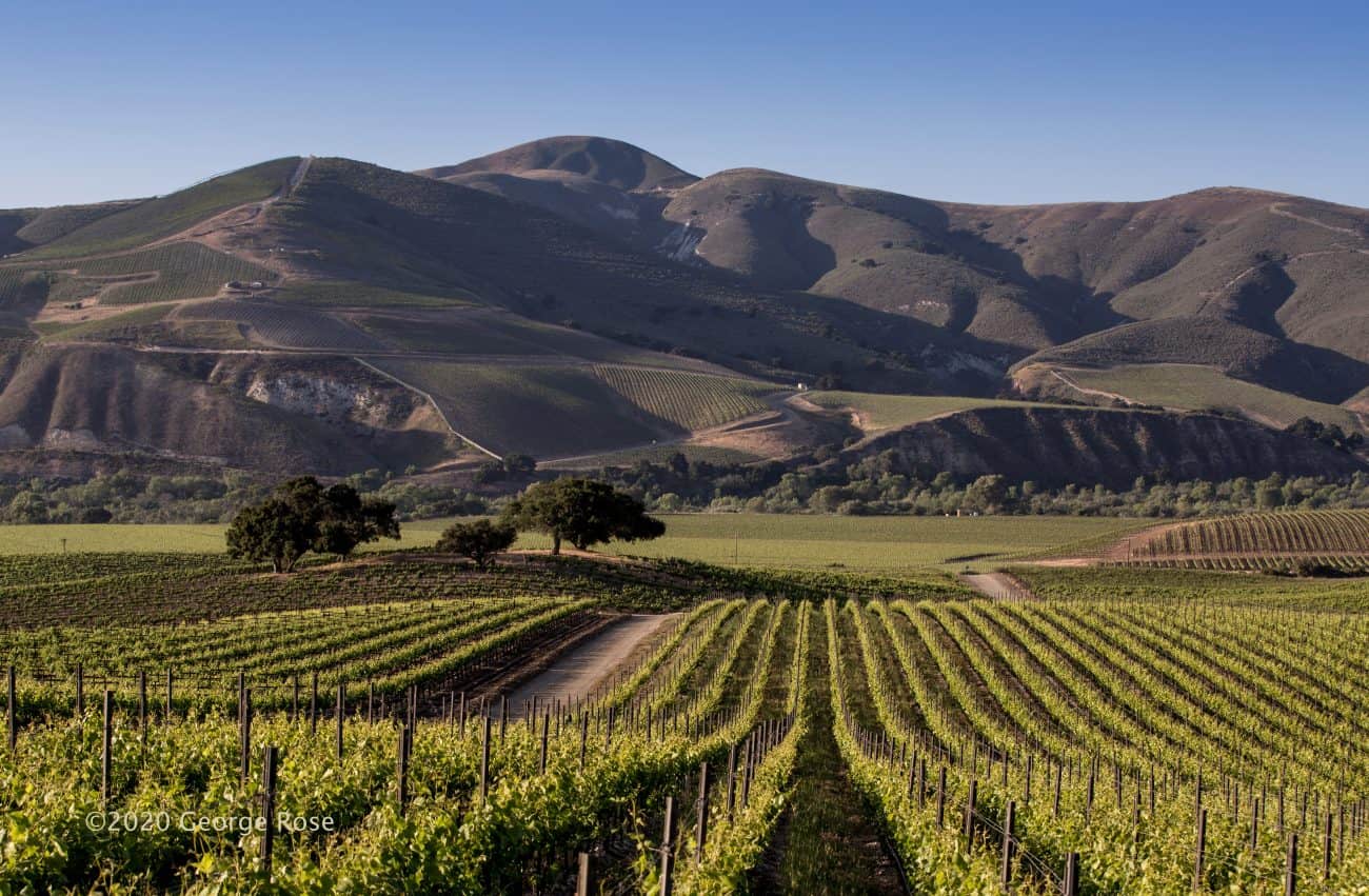 Santa Rita Hills