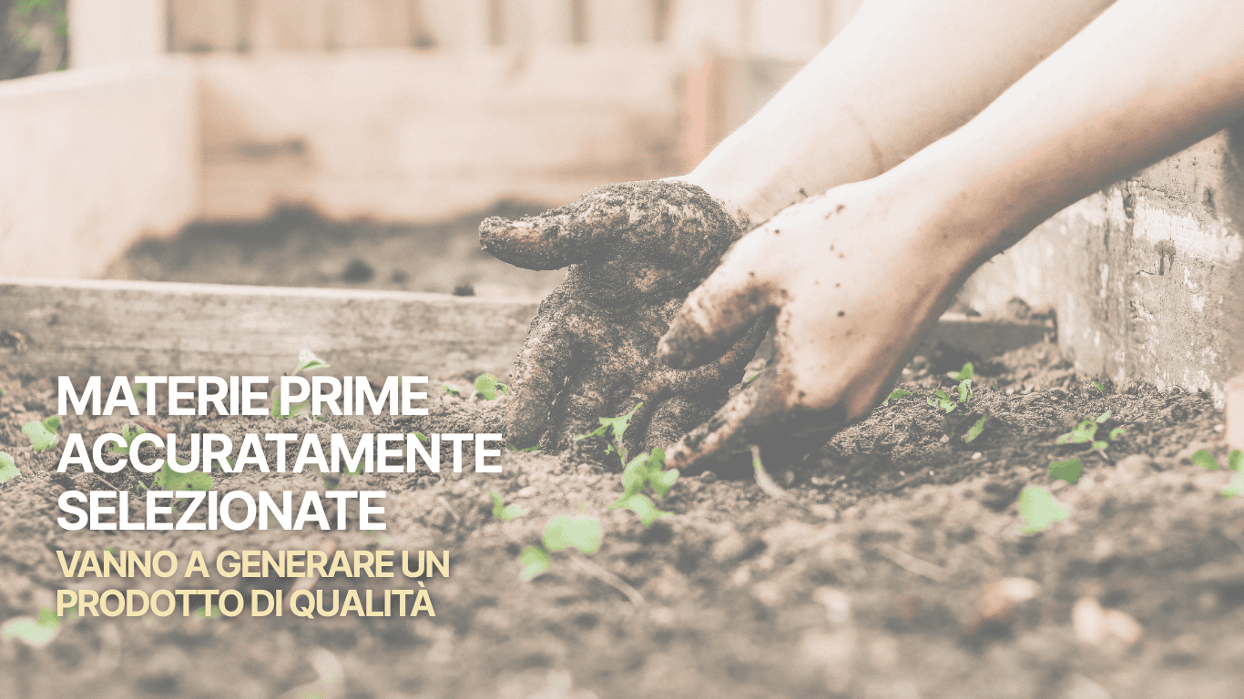 Hands planting soil with small green sprouts in a garden bed, signaling careful selection of quality raw materials.