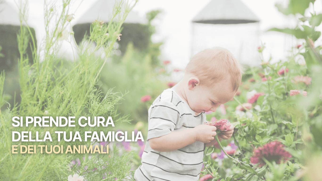 Bambino piccolo in un giardino di fiori osserva un fiore, con testo sovrapposto: “Si prende cura della tua famiglia e dei tuoi animali”.