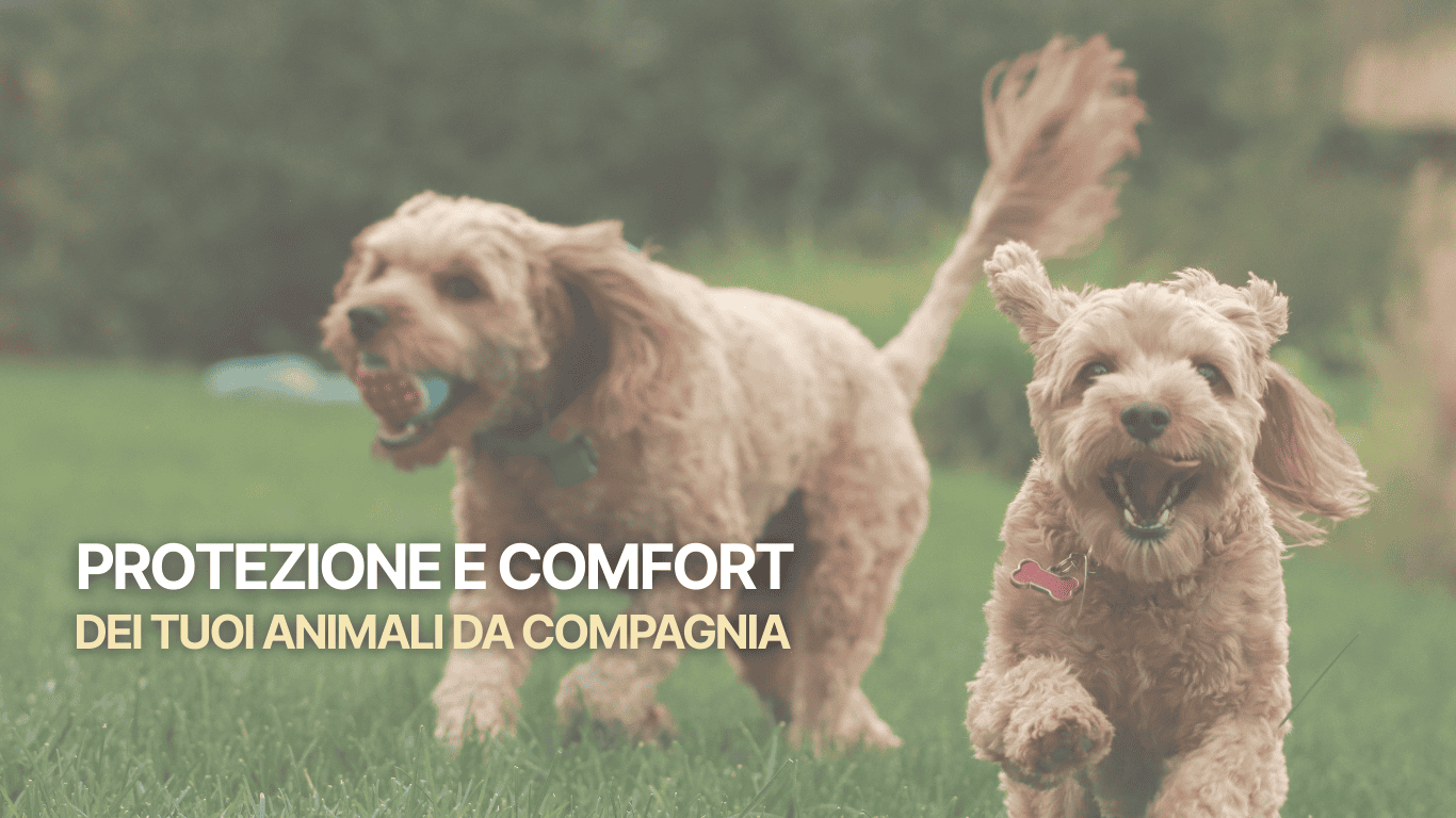 Two playful dogs running on a grassy lawn with a soft-focused background; bold Italian headline about protecting and comforting your companion animals.",