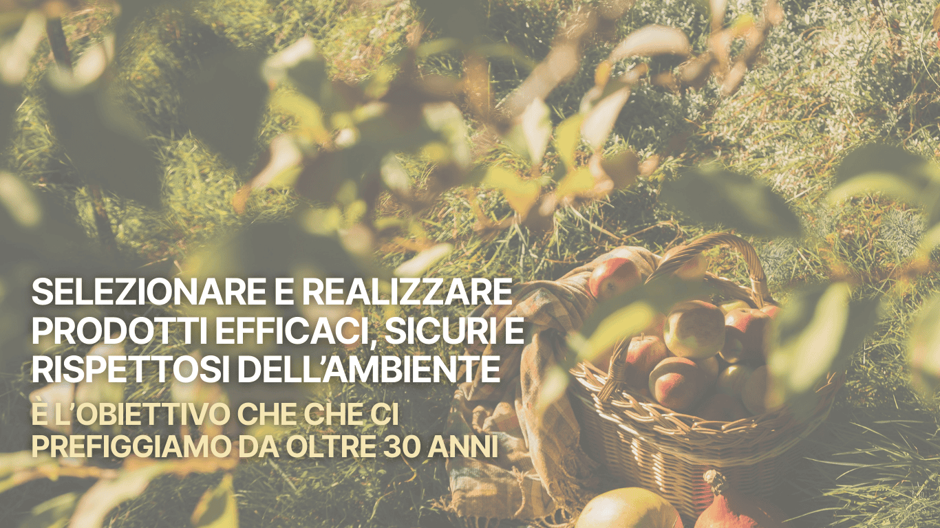 Basket of apples in a sunlit garden with Italian text about selecting and making effective, safe, and eco-friendly products for over 30 years.