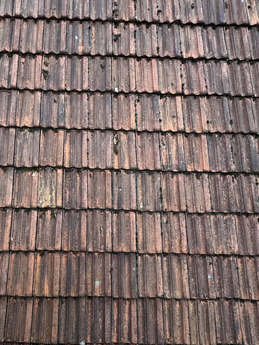 Dak na reiniging, schoon en vrij van aanslag