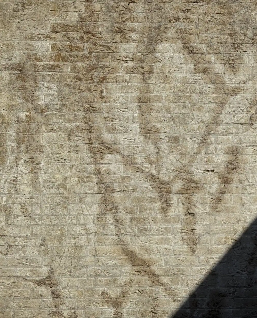 Gevel voor reiniging