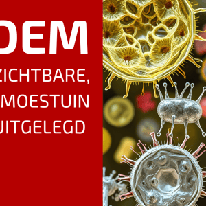 83. De verborgen mechanismen van de bodem